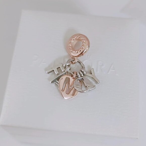 Pandora Family Letters Dangle Charm Bracelet Pendant S925 Silver with box - Picture 4 of 5